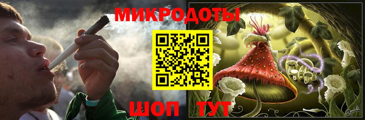 Галлюциногенные грибы прущие грибы Зима