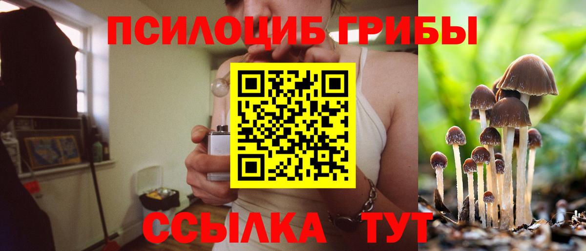 Псилоцибиновые грибы мухоморы  Псилоцибиновые грибы мицелий  Зима  Вход с VPN 