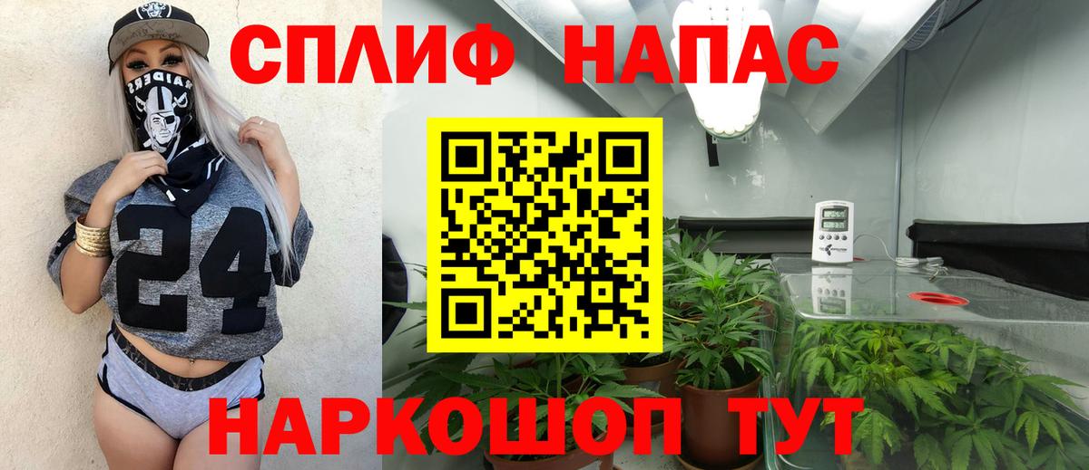 Конопля гибрид  Вход с VPN  Зима  Шишки марихуана LSD WEED  Канабис THC 21%  Конопля Bruce Banner 