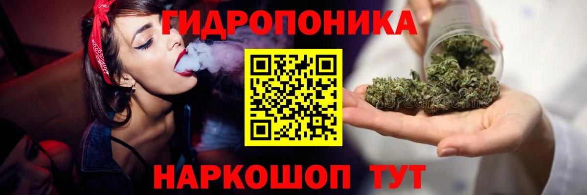 Канабис семена Зима